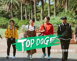 萝莉社《TOP DOG》免费在线观看